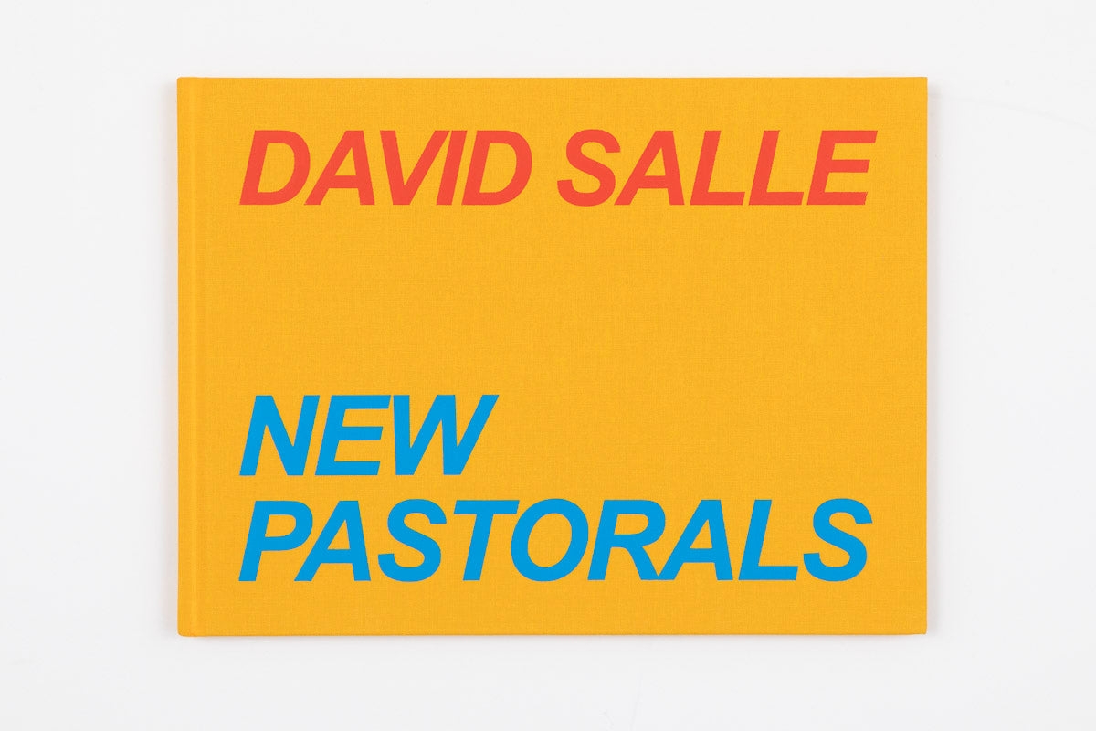 David Salle: New Pastorals