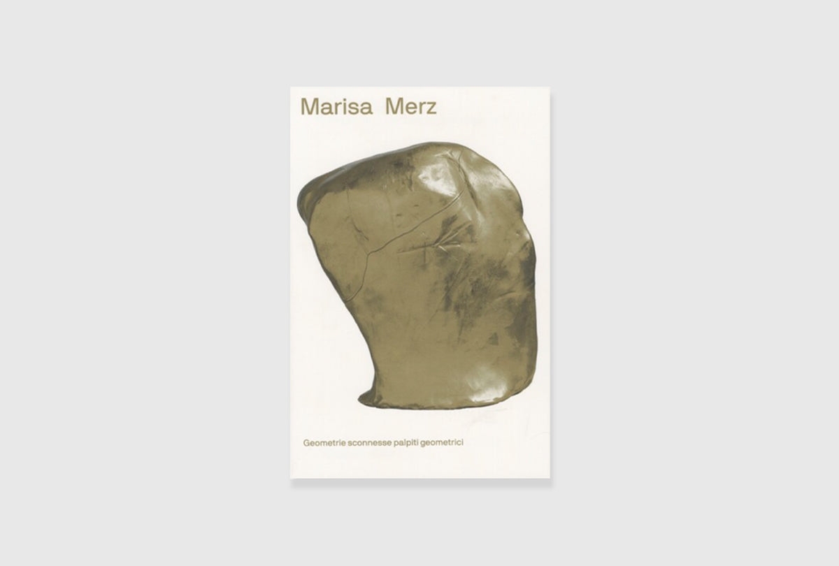 Marisa Merz: Geometrie sconnesse palpiti geometrici